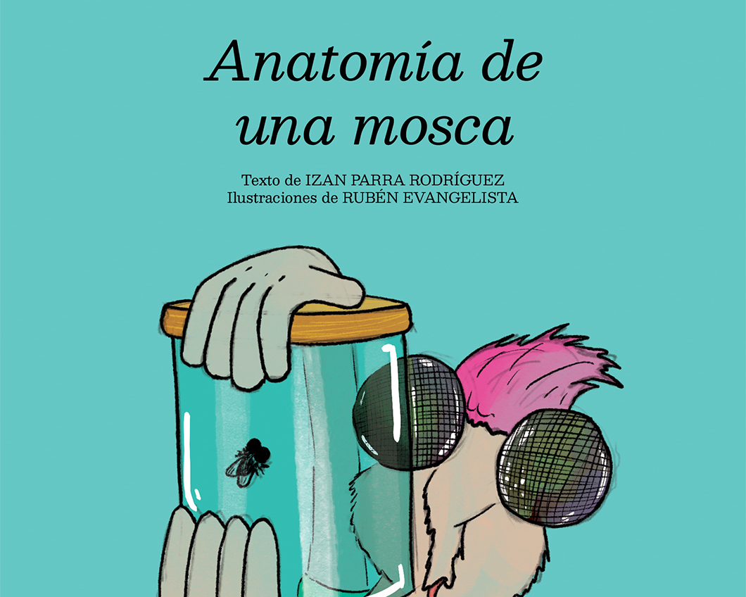Anatomía de una Mosca