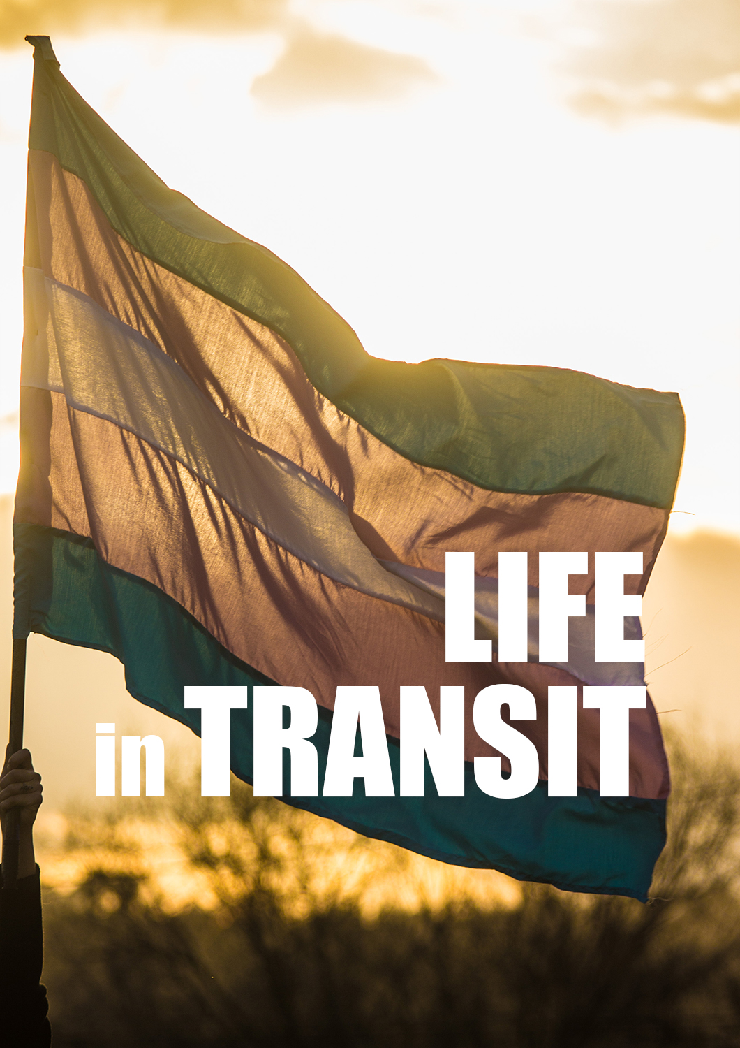 Life in Transit