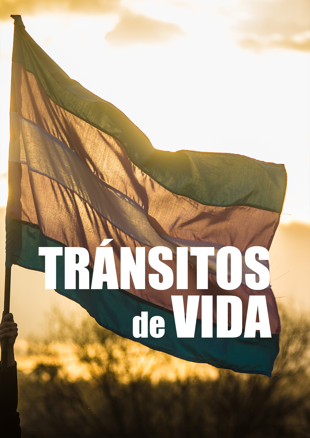 Tránsitos de Vida